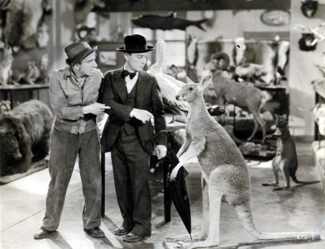 Buster Keaton  54.jpg